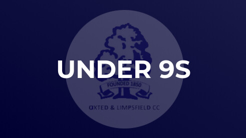 Convincing win for the U8s against Purley