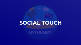 Social Touch