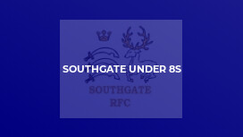 Southgate Under 8s
