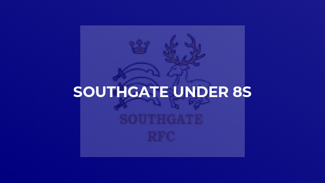 Southgate Under 8s
