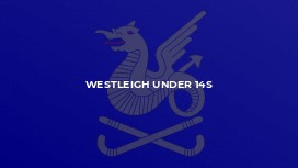 Westleigh Under 14s