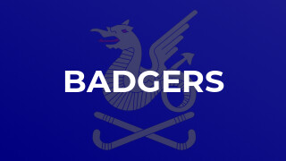 Badgers