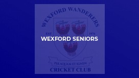 Wexford Seniors