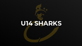 U14 Sharks