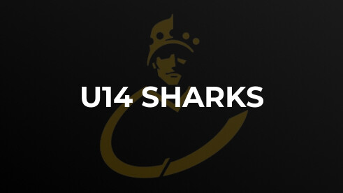 Southwold Away to Beccles Match Report