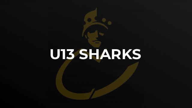 U13 Sharks