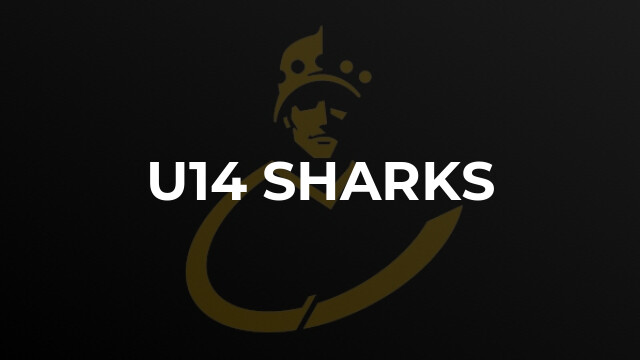 U14 Sharks