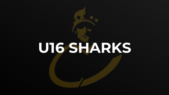 U16 Sharks