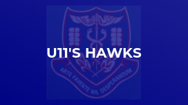 U11's Hawks