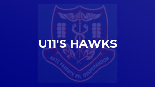 U11's Hawks