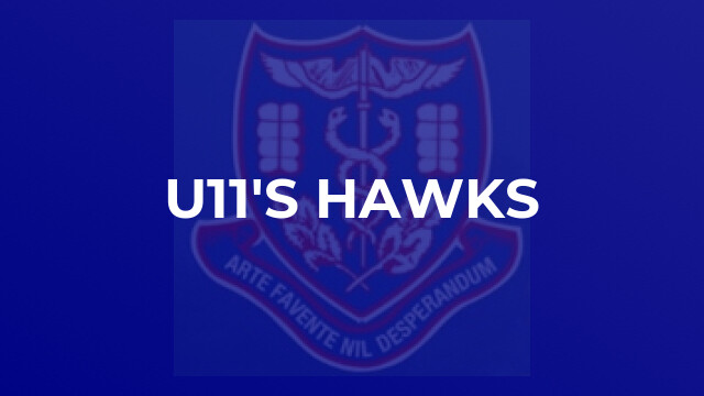 U11's Hawks
