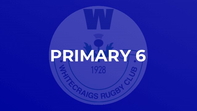 Primary 6