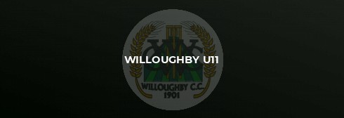 Willoughby Win in Last Over Drama