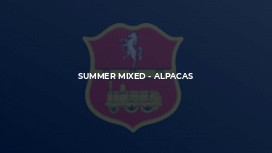 Summer Mixed - Alpacas