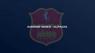 Summer Mixed - Alpacas