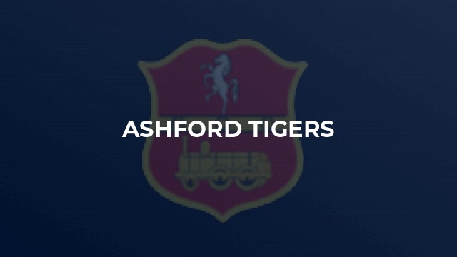 Ashford Tigers