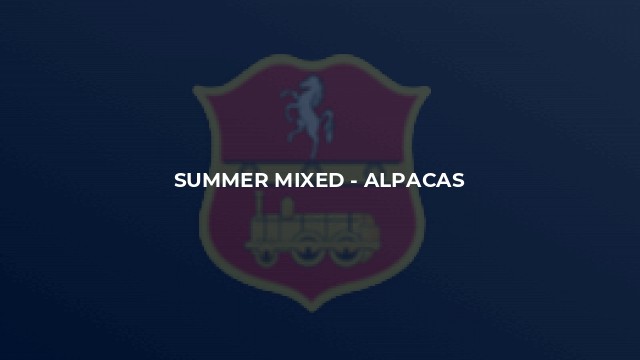 Summer Mixed - Alpacas