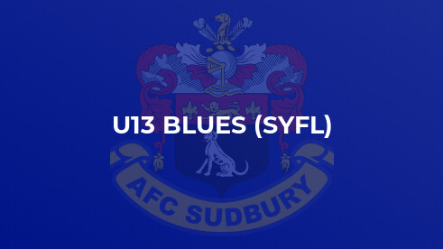 AFC Sudbury 2  Woodbridge 6