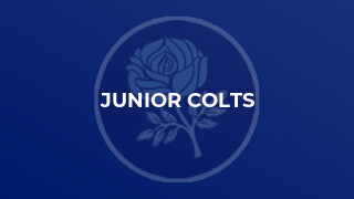 JUNIOR COLTS