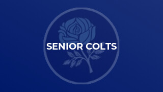 SENIOR COLTS