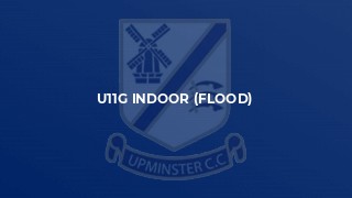 U11G Indoor (Flood)
