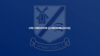 U12 Indoor (Underdogs)