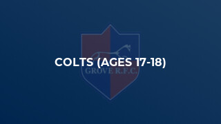 Colts (Ages 17-18)