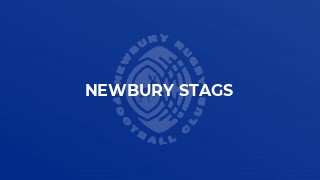 Stags lose a thriller at the Triangle