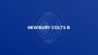 Newbury Colts B
