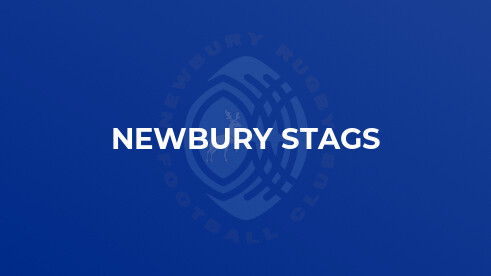Stags lose to table toppers Tadley