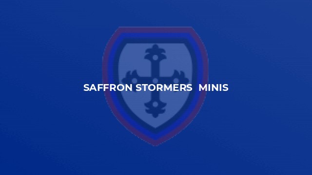 Saffron Stormers  Minis