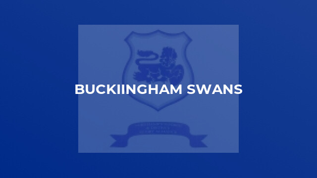 Buckiingham Swans