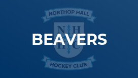 Beavers