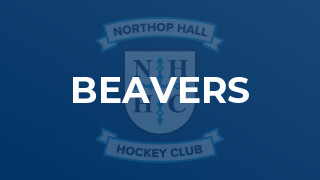 Beavers