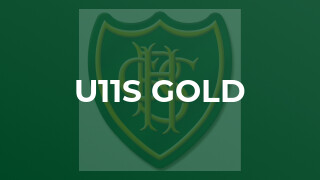 U11s Gold
