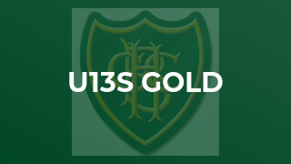 U13s Gold