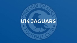 U14 Jaguars