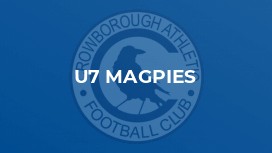 U7 Magpies