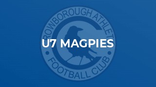 U7 Magpies