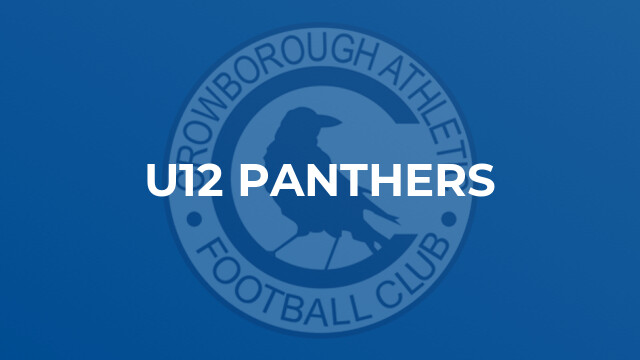 U12 Panthers