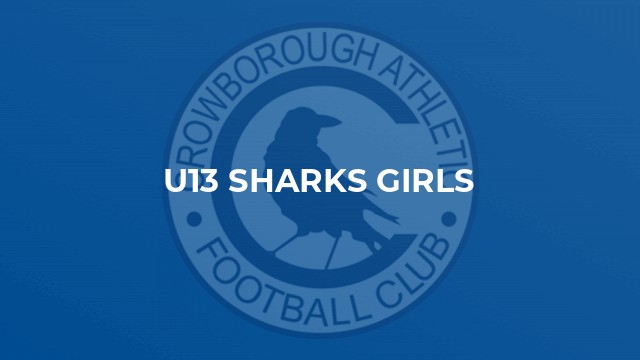 U13 Sharks Girls