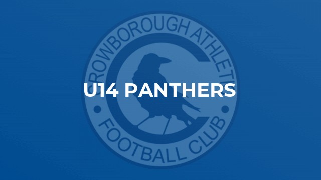 U14 Panthers