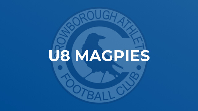 U8 Magpies