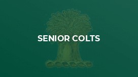 Senior Colts