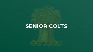 Senior Colts