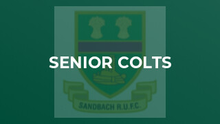 Senior Colts