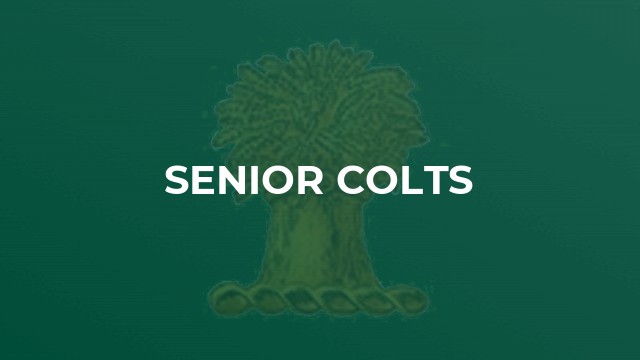 Senior Colts