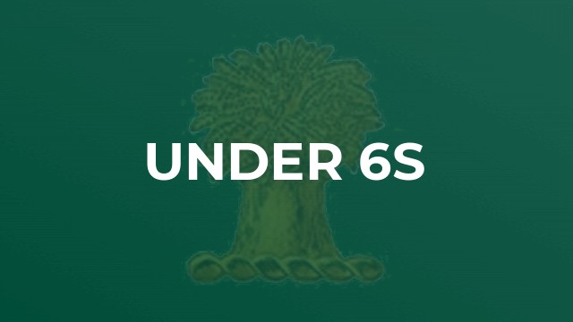 Under 6s