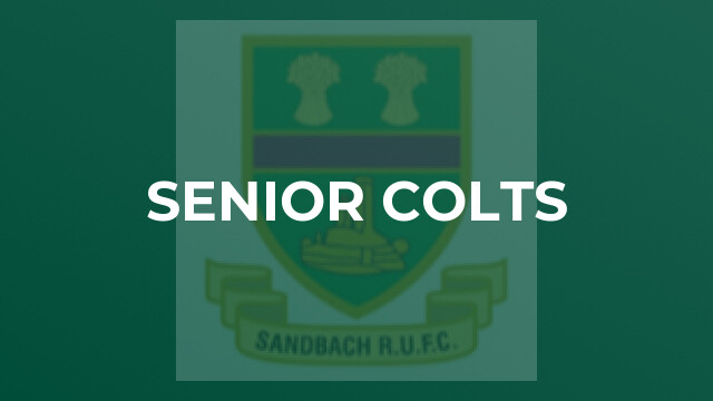 Senior Colts