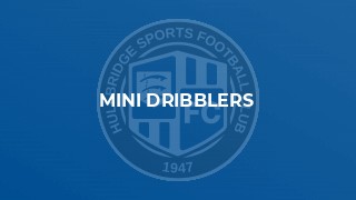Mini Dribblers